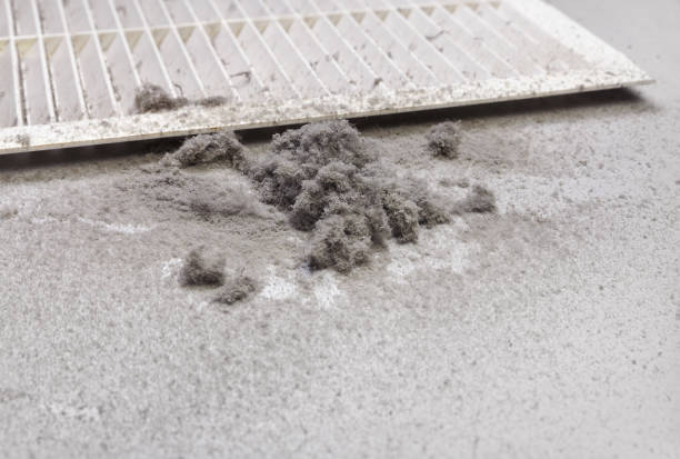 Best HVAC Duct Inspection Services  in Riverside, MO